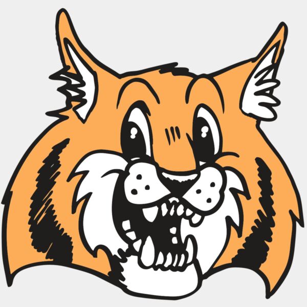 AR WILDCAT 13 RC Thumbnail